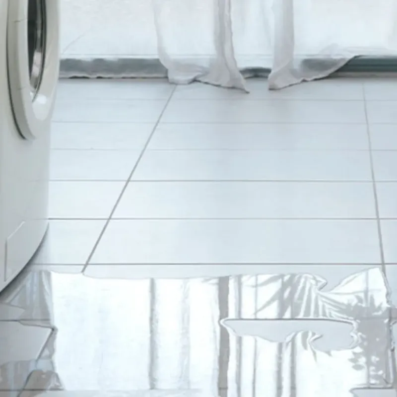 Appliance Leak Cleanup in Mitchell County, TX