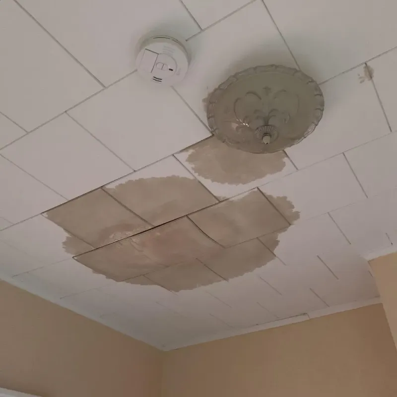 Ceiling Water Damage Repair in Mitchell County, TX