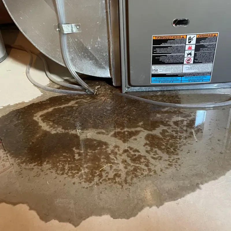 Pipe Burst and Leak Restoration in Mitchell County, TX