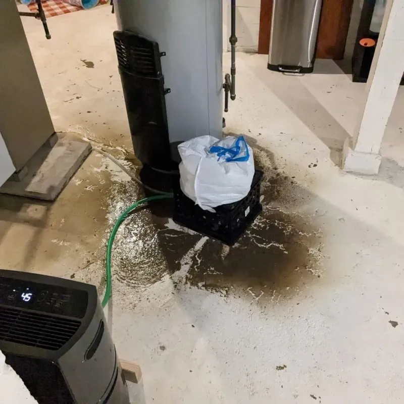 Sewage Backup Cleanup Service in Mitchell County, TX